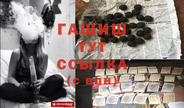 крисы Алзамай