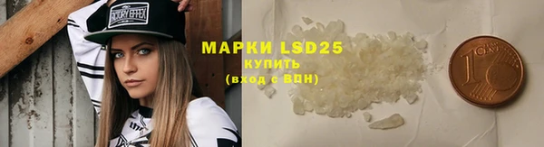 крисы Алзамай