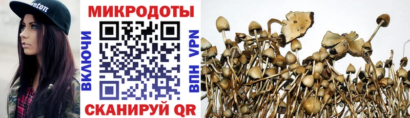 Галлюциногенные грибы Cubensis Калининск